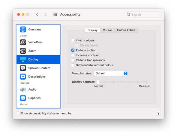 Screenshot of the accessibility settings panel in macOS